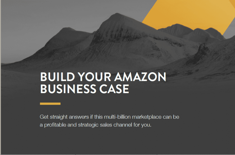 amazon business case study pdf