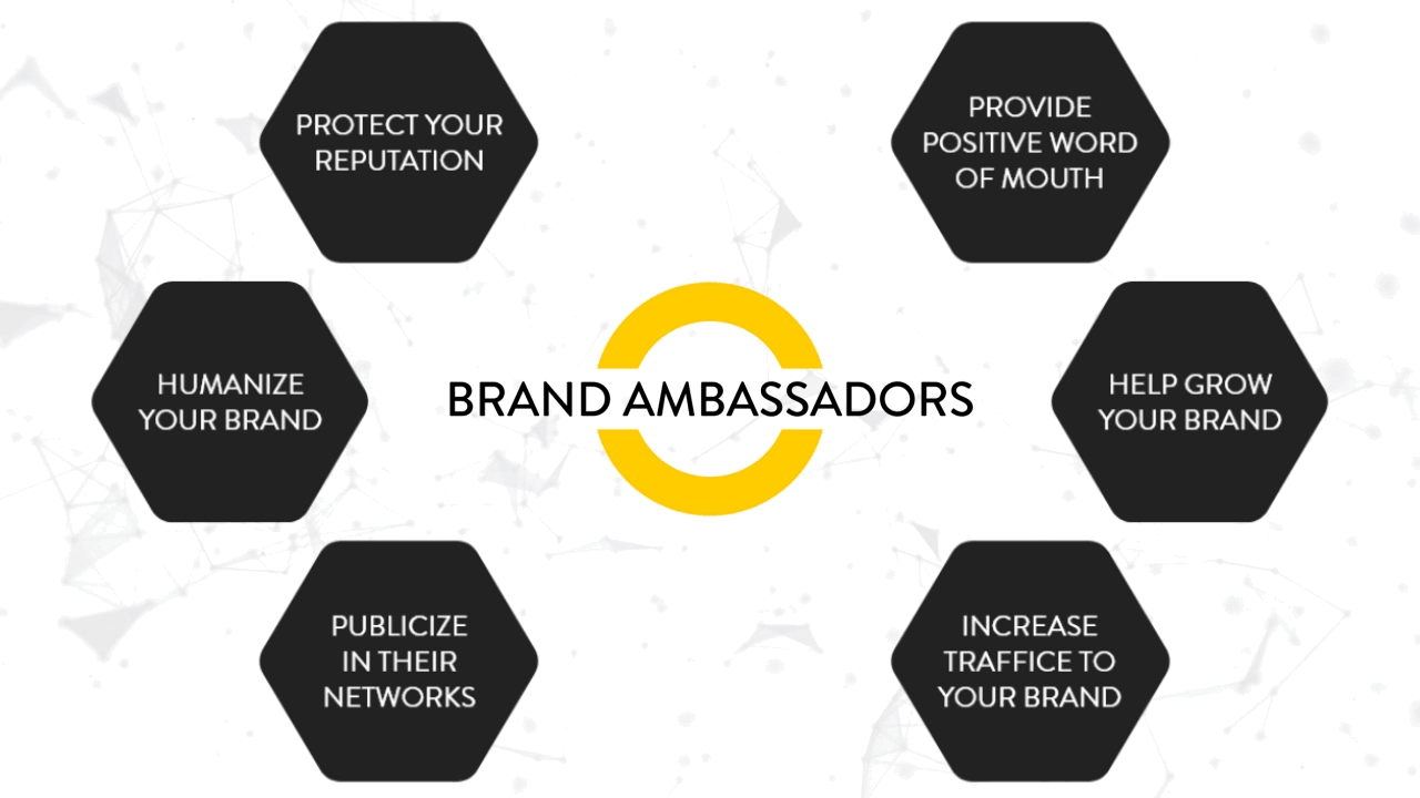 Blog - ambassador
