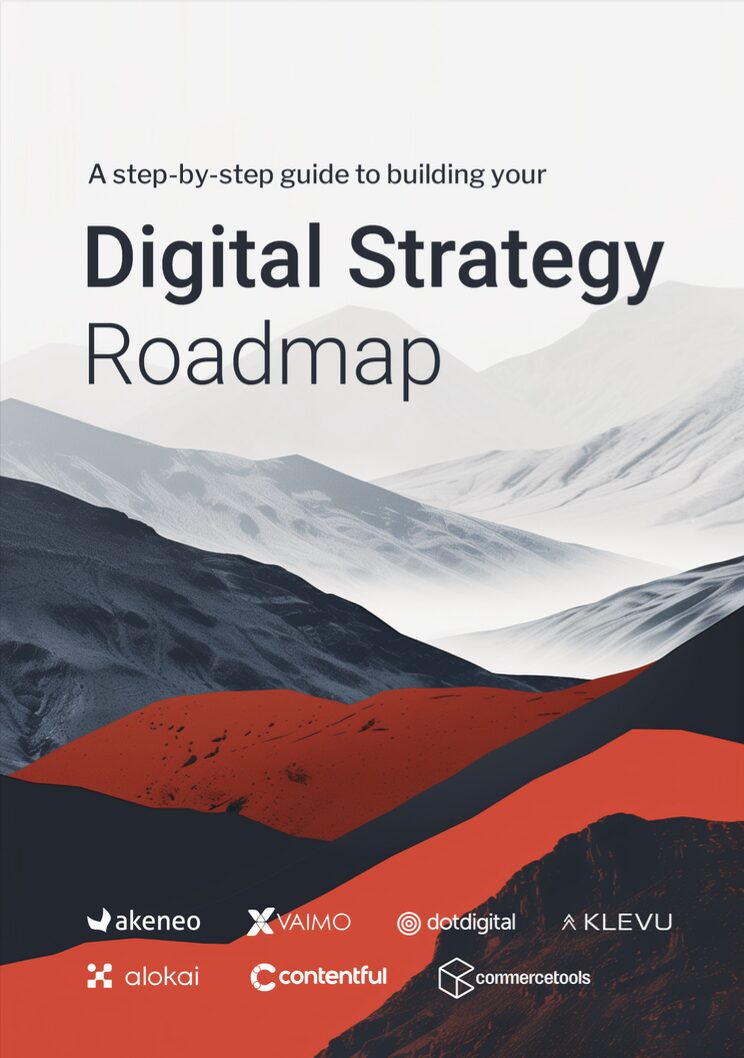 Image of front cover of Digital Strategy Roadmap guide