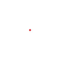 Swiss Sense logo