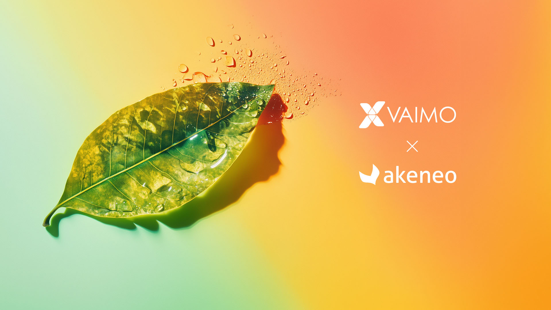 image of wet leaf with vaimo and akeneo logos